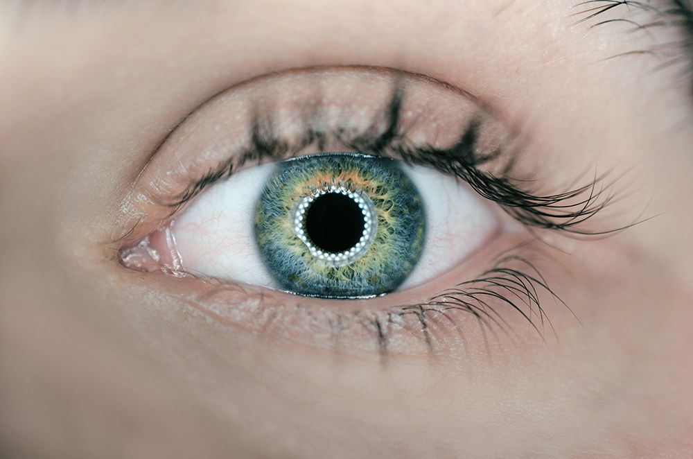 Blue green eye watching your Google E-A-T