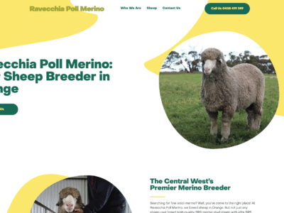 Poll Merino website design
