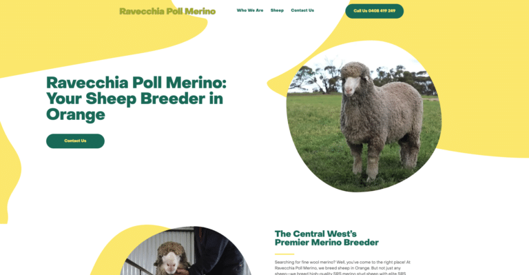 Poll Merino website design